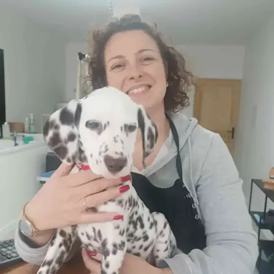 Toilettage Arras www.lesalonella.fr Toiletteuse souriante tenant un chiot dalmatien dans ses bras.