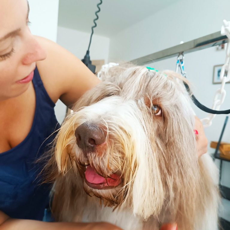 Femme caressant un chien à poils longs, tous deux souriants.